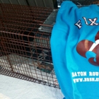 Baton Rouge Spay Neuter