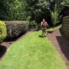 Faith Family Lawncare and Landscaping gallery