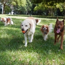 Be Kind Canine - Dog Training