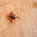 Tabor Pest Control - Pest Control Equipment & Supplies