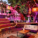 El Patio Wynwood - Bars