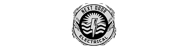 Next Door Electrical Logo