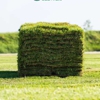 Greenlawn Sod & Turf gallery
