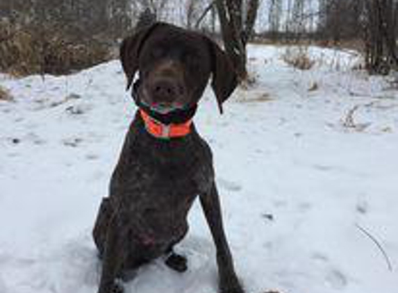 Hoerter's Gander Acres - Stevens Point, WI