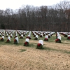 Quantico Natl Cemetery gallery