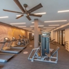 Elms Century gallery