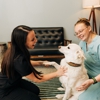 PetVet365 Pet Hospital Louisville / Jeffersontown gallery