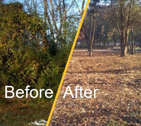 Bill Jacobsen Concrete and Bobcat Services - Port Charlotte, FL. Forestry Mulching