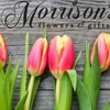 Morrison's Flowers & Gifts | Florist gallery