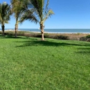 AC Plant & Turf - Arborists