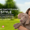 Go Anywhere Dog - South Minneapolis - Pet Training