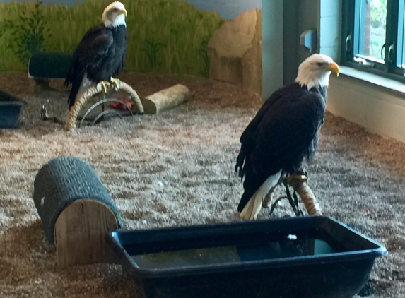 National Eagle Center - Wabasha, MN