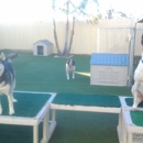 San Diego Dog Daycare - Pet Boarding & Kennels