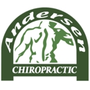 Andersen Chiropractic - Chiropractors & Chiropractic Services