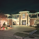 NEON Monkey Tree Services - Arborists