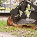 Iron Root Tree Service - Tree Service