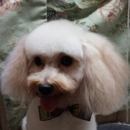Pets Etc Grooming & Training - Pet Services