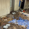 Bluebonnet Foundation Repair gallery