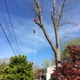 Bigelow's Tree Service and Lawn Care