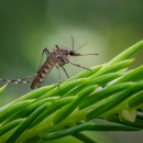 Earth Right Exterminating - Pest Control Equipment & Supplies
