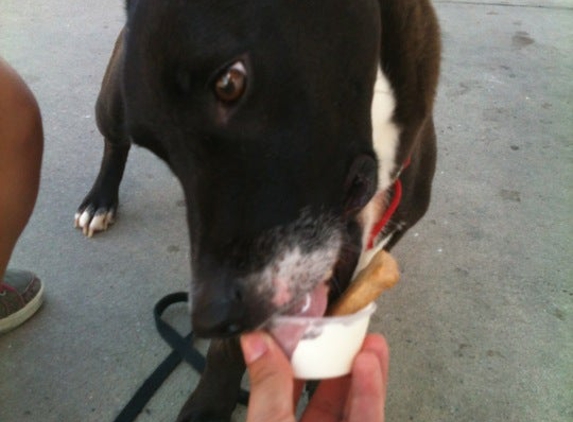 Bruster's Real Ice Cream - Monroe, NC