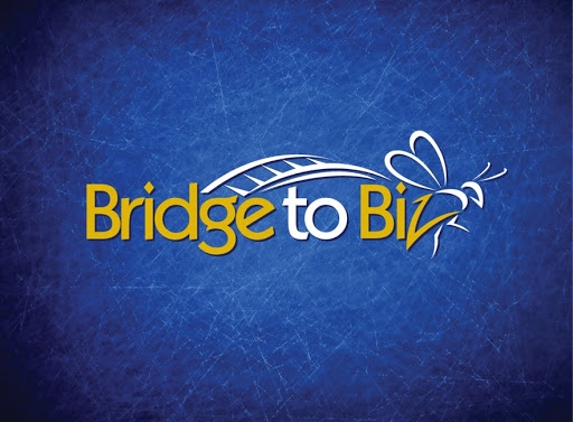 Bridge To Biz - Springfield, VA