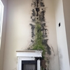 Tampa Bay Mold Testing Service gallery