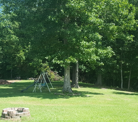 Michael's Tree Service - Jacksonville, NC. Clean Look