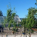 Galles Greenhouse - Nurseries-Plants & Trees