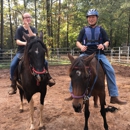 Peaceful Valley Farms Natural Horsemanship Training - Horse Training