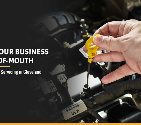 The Workshop Tyre & Mechanical - Cleveland, QLD. Growing Our Business By Word-Of-Mouth