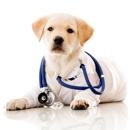 Vetpronto-Mobile Veterinarians - Veterinarians