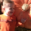 Fleitz Pumpkin Farms gallery