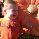 Fleitz Pumpkin Farms - Farms