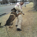 International K9 Training School - Pet Services