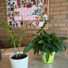 VCA Boulder Terrace Animal Hospital gallery