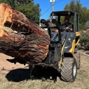 Arizona Logfather - Tree Service
