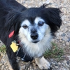 Homestead Veterinary Care gallery