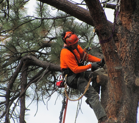Mount Helena Tree Experts L.L.C. - Helena, MT