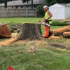 Astorino's Tree Service gallery