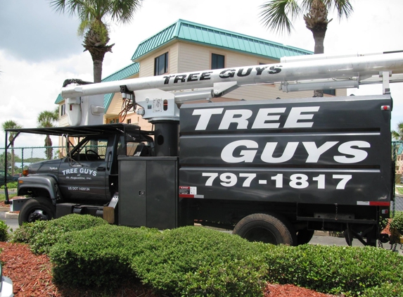 Tree Guys of St Augustine - St Augustine, FL