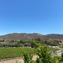 Robert Renzoni Vineyards - Wine