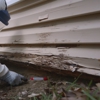 P&G Pest Control gallery