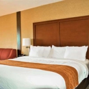Comfort Inn & Suites Vancouver Downtown City Center - Motels