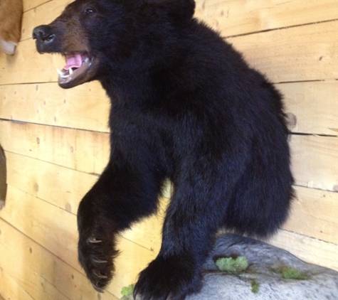 Conrath's Taxidermy - Everett, PA