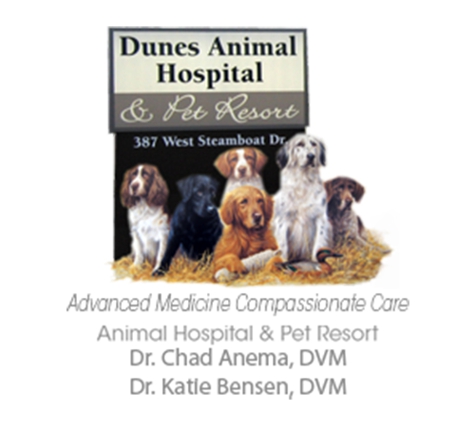 Dunes Animal Hospital - North Sioux City, SD