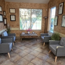 VCA Premier Animal Hospital and Pet Resort - Pet Services