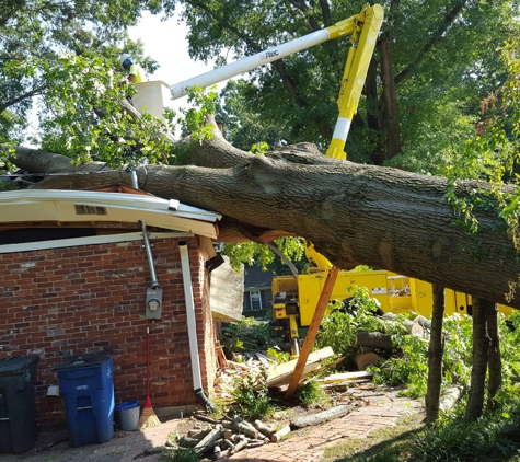 Tennessee Valley Tree Service. Storm