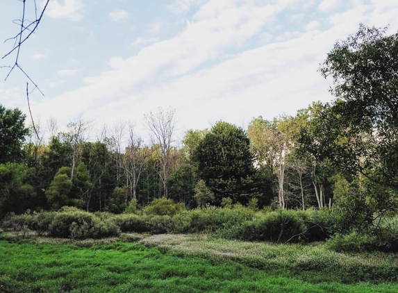 Reinstein Woods Nature Preserve - Depew, NY