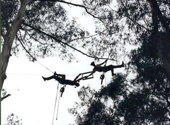 TreeSpec Professional Arborists